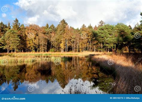 Small Pond In Autumn Forest Stock Image Image Of Outdoors Reflection