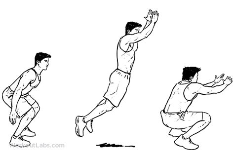 Standing Long Jump Illustrated Exercise Guide Workoutlabs