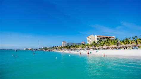 Visita Palm Beach Scopri Il Meglio Di Palm Beach Noord Nel 2022