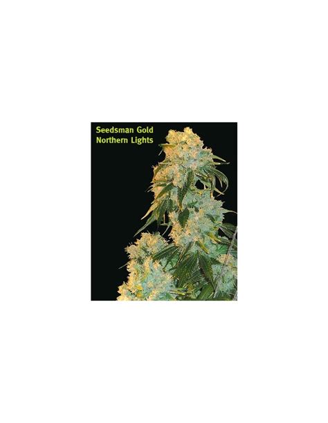 Buy Seedsman Northern Light Cannabis Seeds