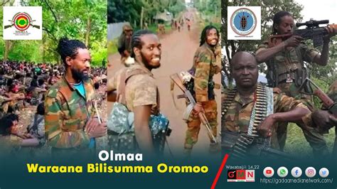 Gmn Olmaa Waraana Bilisumma Oromoo Waxabajjii 142022 Youtube