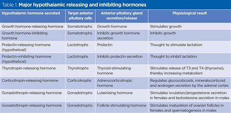 Pituitary Gland Hormones And Their Functions