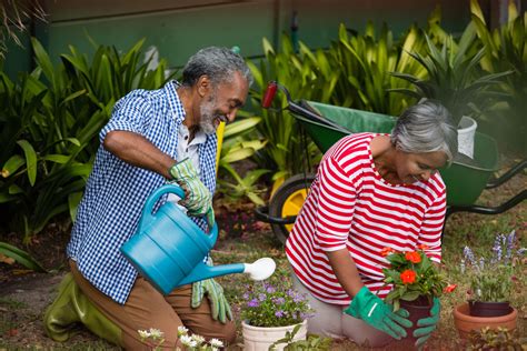 5 Advantages Of Gardening For Seniors Unlimited Care