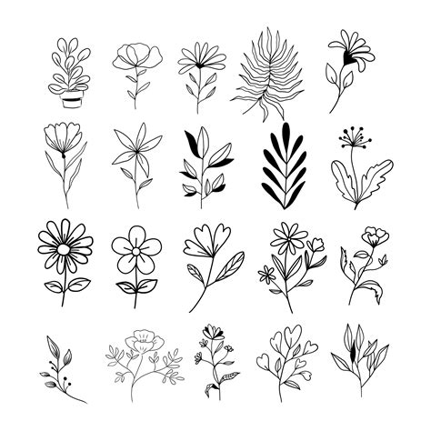 Botanical Line Art Floral Leaves Collection Set Of Plants Hand Drawn