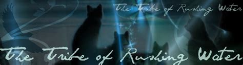 Warrior Cats Tribe Of Rushing Water
