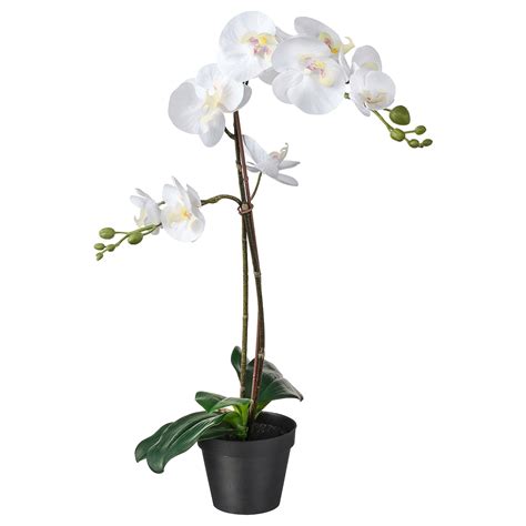 Fejka Topfpflanze Künstlich Orchidee Weiß Mehr Infos Zum Produkt