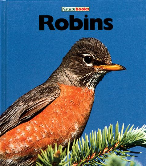Robins The Childs World