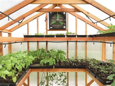 Greenhouse Ventilation Fans For Those Who Enjoy Growing Fruits And