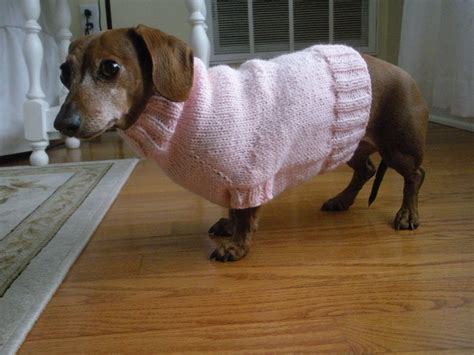 Simple Sweater Pattern For Mini Dachshund Doxie Dachshund Knitted