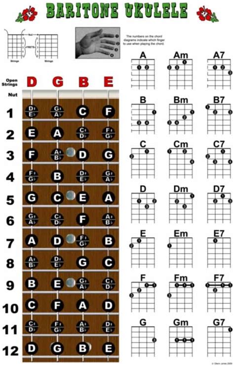 Baritone Ukulele Fretboard And Chord Chart Instructional Poster Bari