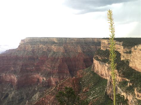 Grand Canyon New Mexico And Wichita Falls Eat Teach Blog