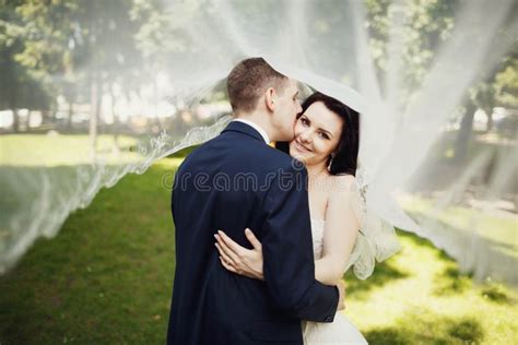 Поцелуй жениха и невеста под вуалью невесты Стоковое Фото изображение