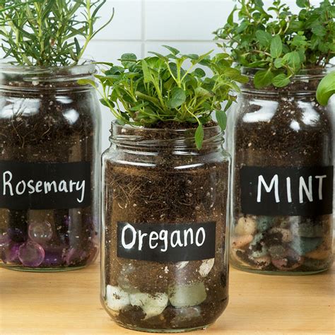 Make An Adorable Herb Garden With Old Glass Jars Mason Jar Herb