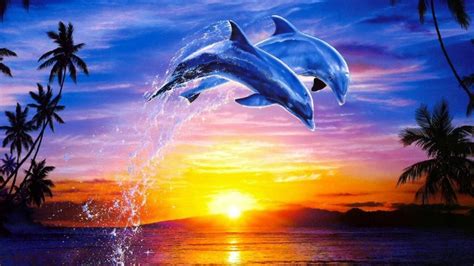 Download Purple Dolphin Wallpaper For Iphone Dolphins Dolphins