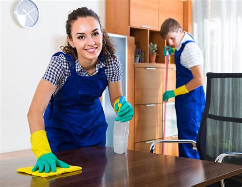 Should You Hire A Professional House Cleaner Icharts