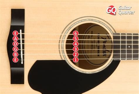 Nombres De Las Cuerdas De La Guitarra Notas Números Y Orden