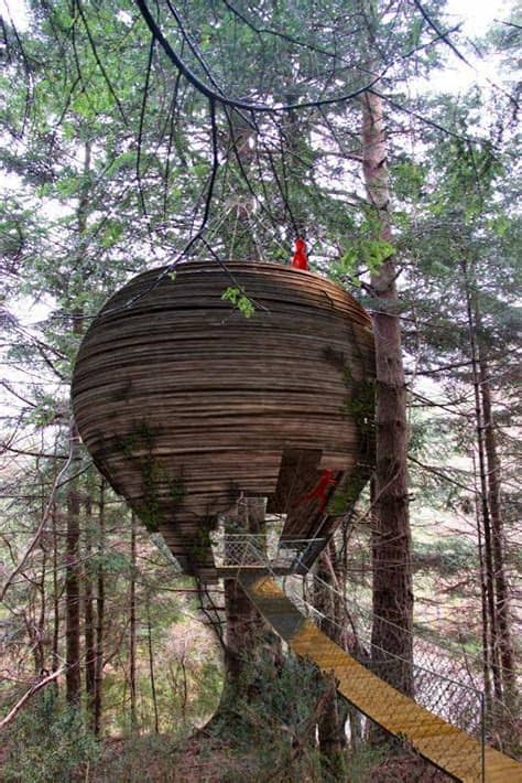 ¿buscas hacer una escapada original en pareja o un viaje diferente con alojarse en una casa del árbol es una buena definición de glamping, ya que te permitirá disfrutar de. Casas en el arbol: la casa Nido, complejo hotelero ...
