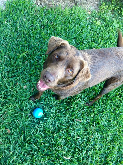 Trying out some of the methods listed here will surely bring you the peace of. How to keep a dog out of a garden? I want to start a ...