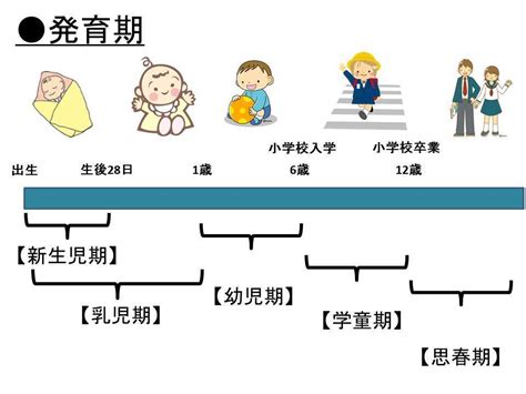 子どもの発育期の名称 保育士試験に合格するために。