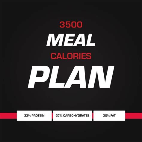 Gymx 3500 Calorie Nutrition Plan Gymx