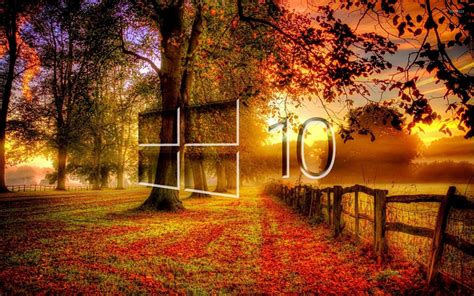 Windows 10 In The Fall Glass Logo Wallpaper Computer Wallpapers 46857