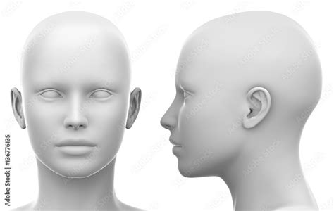 Blank White Female Head Side And Front View Stock Illustration