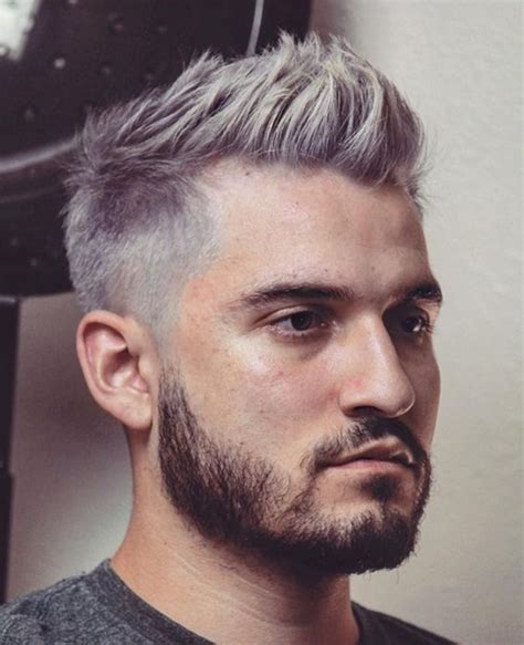 Grey Hair Hairstyles For Men Hairstyle Catalog