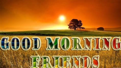 A simple good morning and a special greeting to a friend whom i hold so dear. Good Morning Friends Wallpapers - Wallpaper Cave