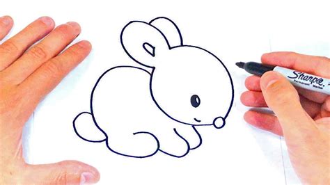 Como Dibujar Un Conejo Facil Y Bonito