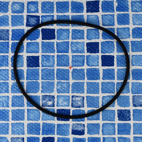 Astral Cantabric Sand Filter Lid O Ring Sealing Gasket 4404180201