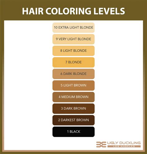 Brown Hair Color Chart Coloring Hair And Hair Highlighting Will Be