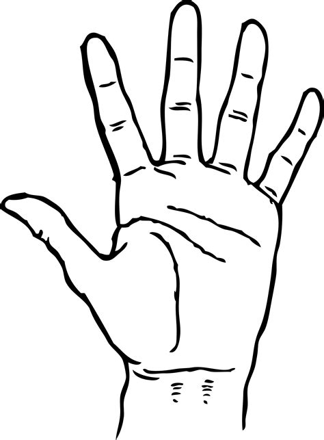 Hand Palm Facing Out Black White Line Art Coloring Clipart Best
