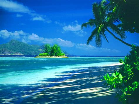 70 Tropical Island Background On Wallpapersafari