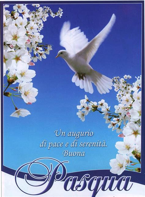 Mar 18, 2021 · ecco una ricercatissima e originale raccolta di frasi, foto e immagini per fare gli auguri di buona pasqua. AUGURI DI PASQUA 2015