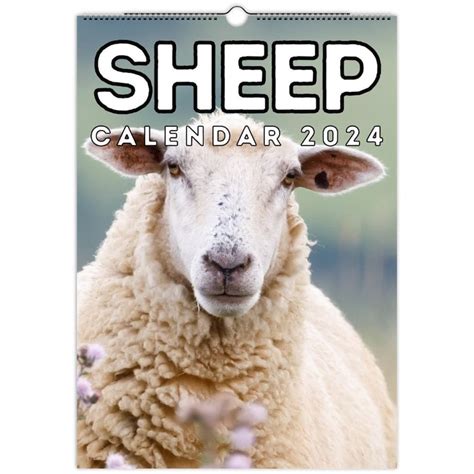 Sheep Wall Calendar 2024 Cute T Idea For Sheep Lovers Sheep Ts