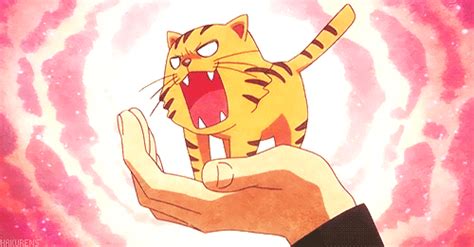 Tiger GIF - Find & Share on GIPHY
