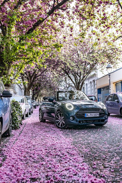 Photo Gallery Mini Convertible Sidewalk Poses With Cherry Blossom