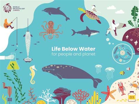 World Wildlife Week Life Below Water Matters Oneindia News