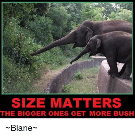 25 Best Memes About Size Matters Size Matters Memes