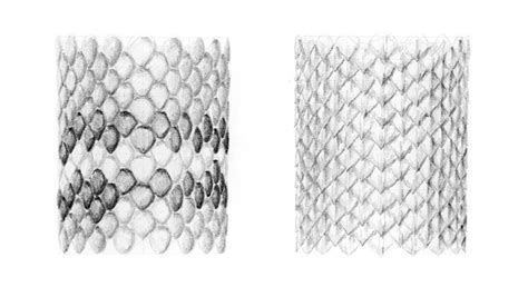 How to Draw Scales