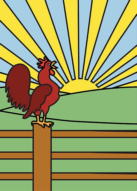 Rooster Wake Up Call Illustrations Royalty Free Vector Graphics And Clip