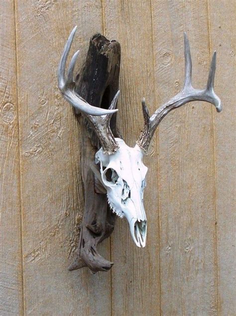 Interesting Idea W Replica Skullantlers Driftwood Deer European
