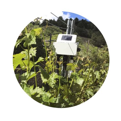 IOT Applied to precision agriculture | Disenos de unas