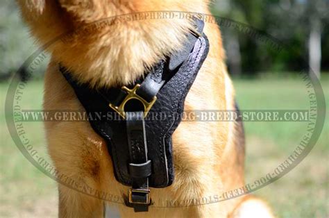 Exclusive Luxury Handcrafted Padded Leather Dog Harness German