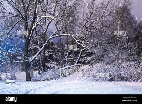 Finland Pirkanmaa Tampere Winter Scene With Trees And Footbridge