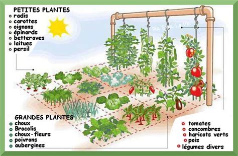 planter un jardin potager