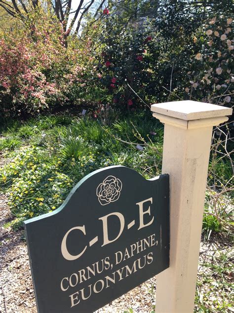 How to order the columns of a data frame by their variable names in the r programming language. Sarah's Journal: Planting Fields Arboretum