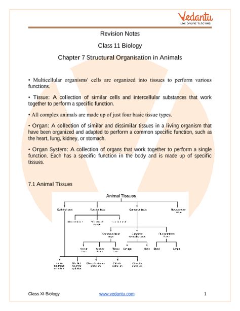 Cbse Class 11 Biology Chapter 7 Structural Organisation In Animals