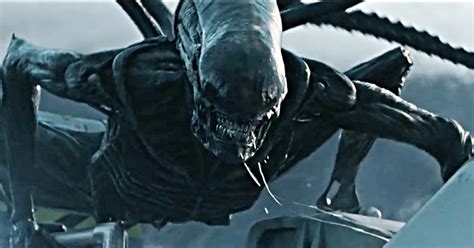 Xenomorph, alien covenant alien covenant fan art. The Brand New Trailer Of Alien: Covenant Has The Nastiest ...