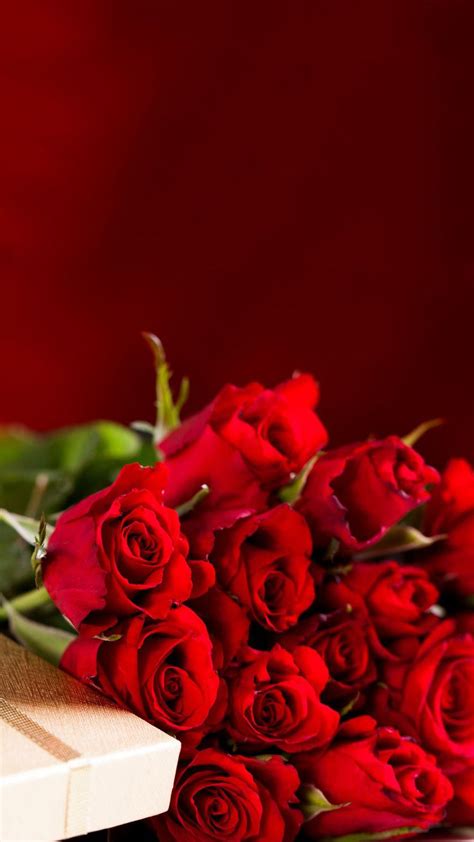 Red Roses Bouquet Valentines Day Gift Android Wallpaper ...